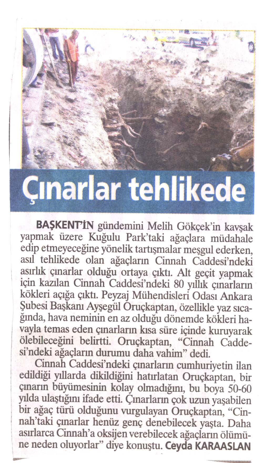 KUĞULU'NUN KAVAKLARI KURTULDU CİNNAH'IN ÇINARLARI TEHLİKEDE! 30.08.2006/SABAH ANKARA